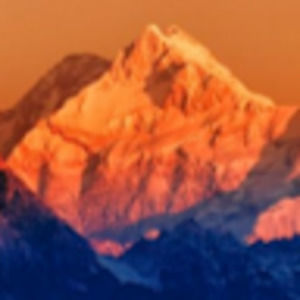 Meet your Posher, Jacie